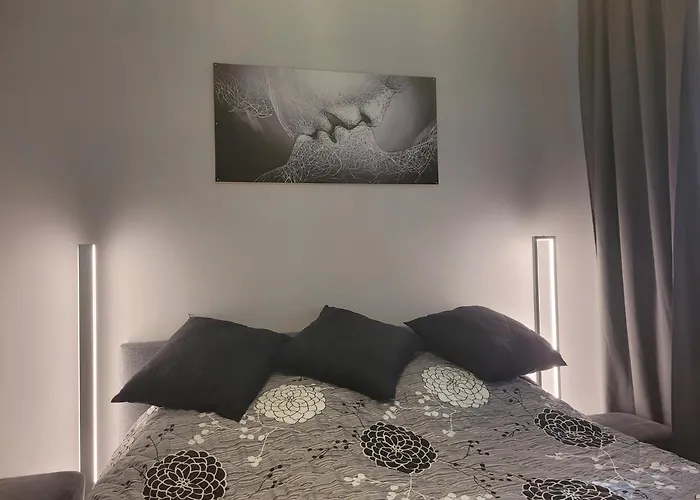 Paw Apartament 2