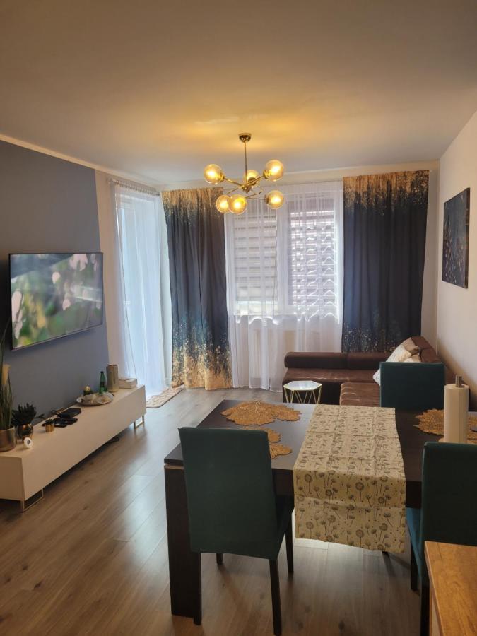 Paw 2 Apartment