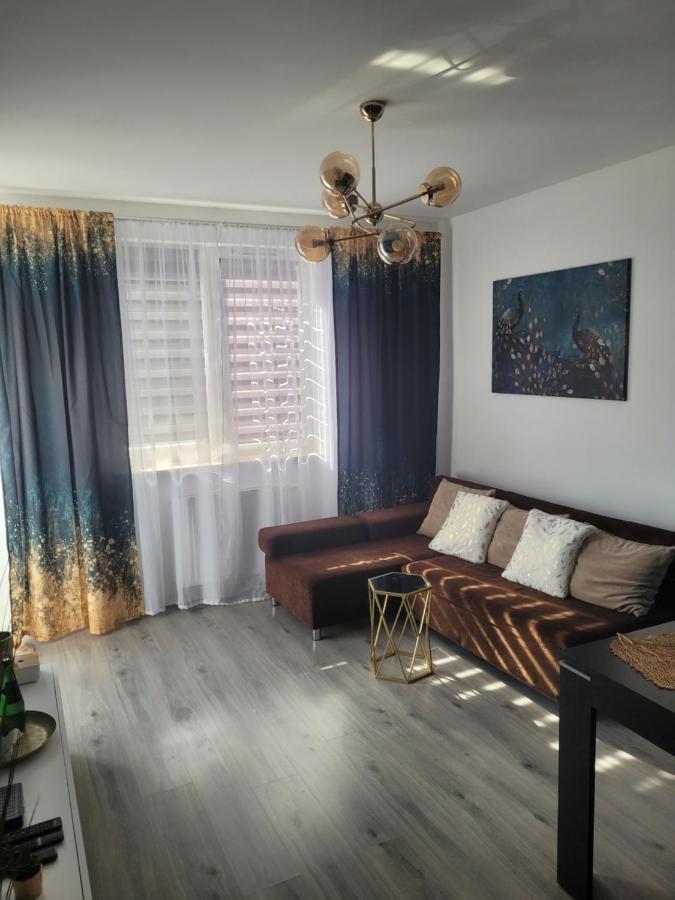 Apartment Paw 2